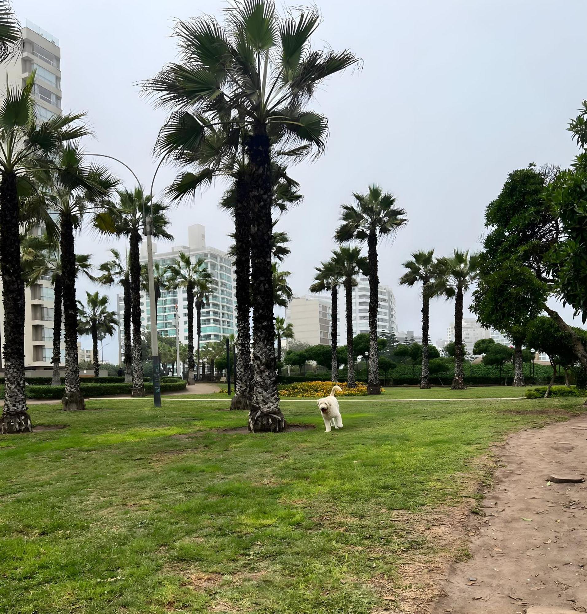 Modern 1Br Loft Close To The Seawalk Of Miraflores Lima Bagian luar foto